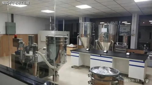 龍蟠科技研究院鋰電池材料研發(fā)中心正式啟用