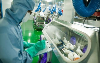 新舊動能轉(zhuǎn)換丨生物技術(shù)研發(fā)中心投入使用 市北生物科技創(chuàng)新集聚效應(yīng)初步顯現(xiàn)