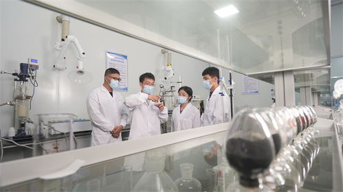 禮贊共和國 蘇區展新顏丨贛州 強鏈集群向新行